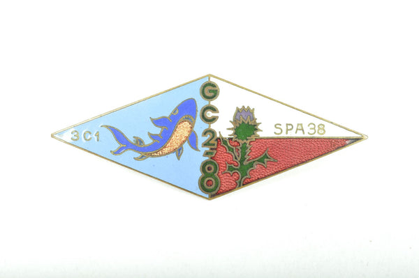 Insigne Groupe de Chasse 2-8 ( 3 C1 / SPA 38 )
