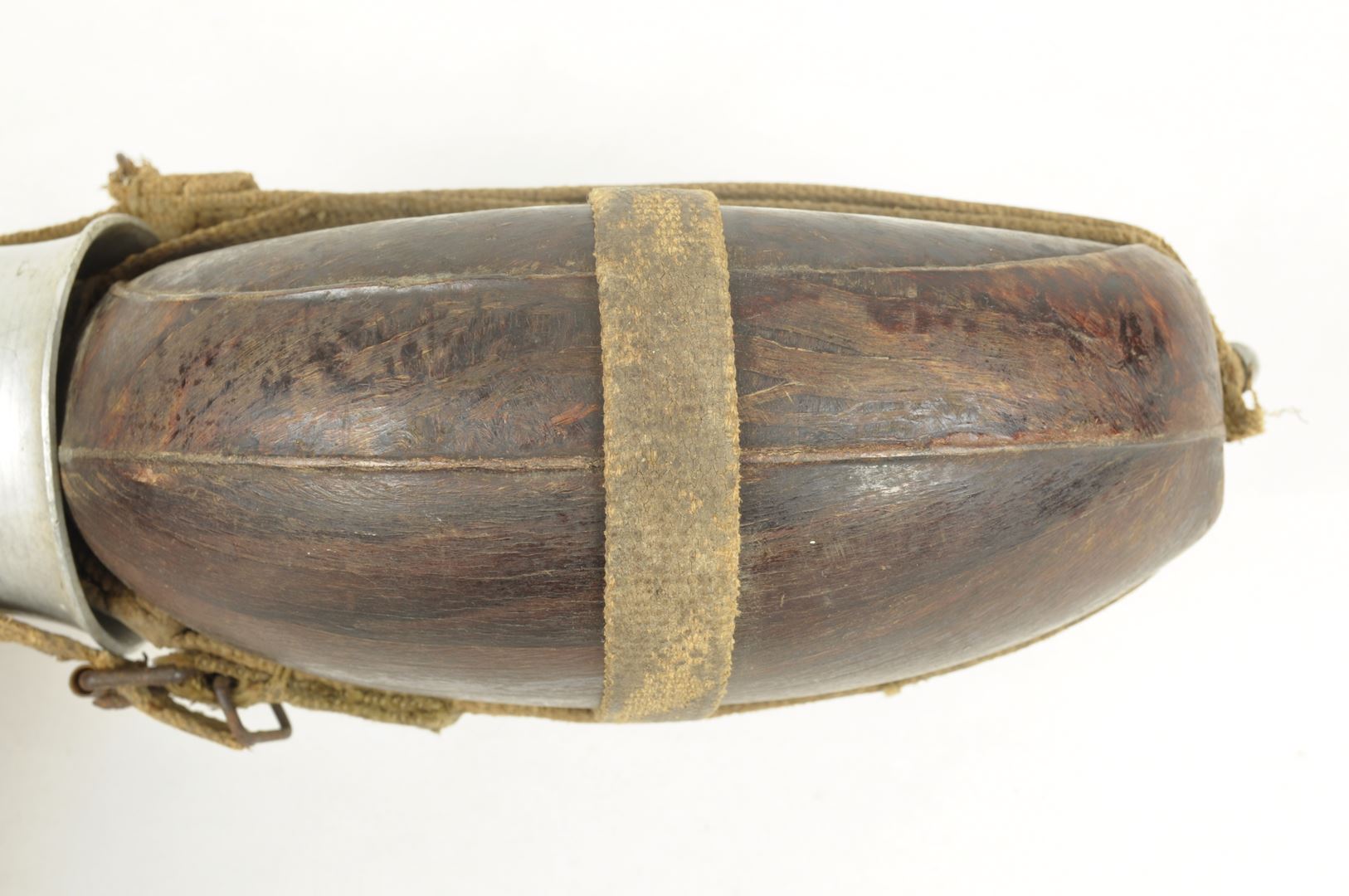 Gourde Allemande Tropicale HRE 43