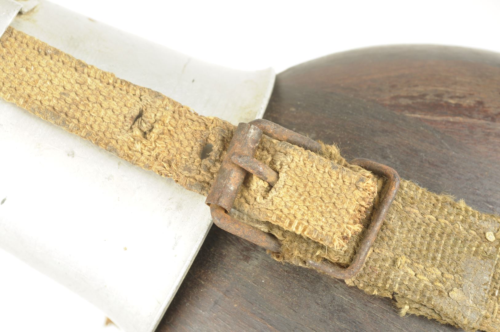 Gourde Allemande Tropicale HRE 43