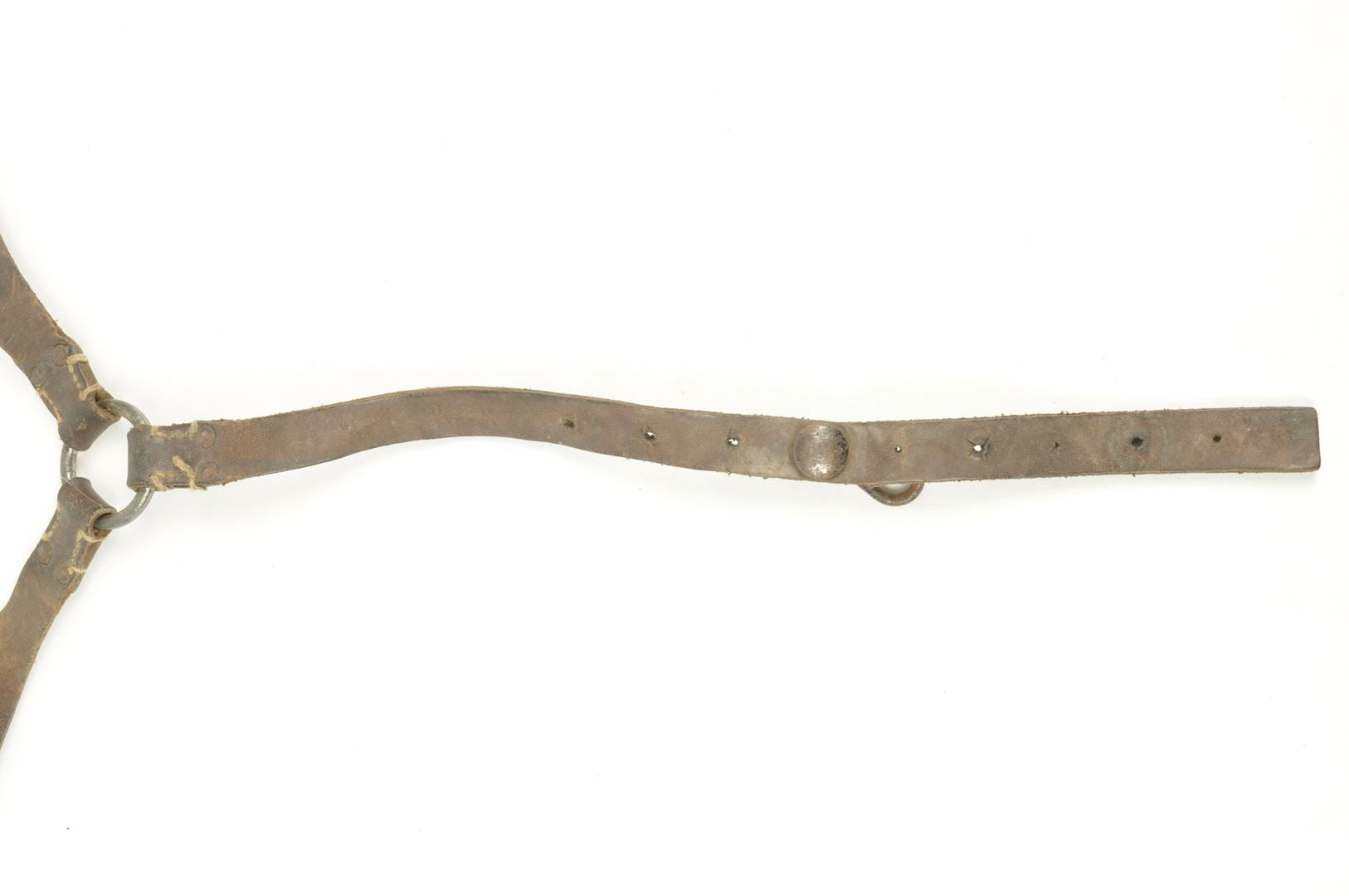 Bretelles de suspension 1892 / 15 réceptionnées du 1ier Régiment d'Infanterie