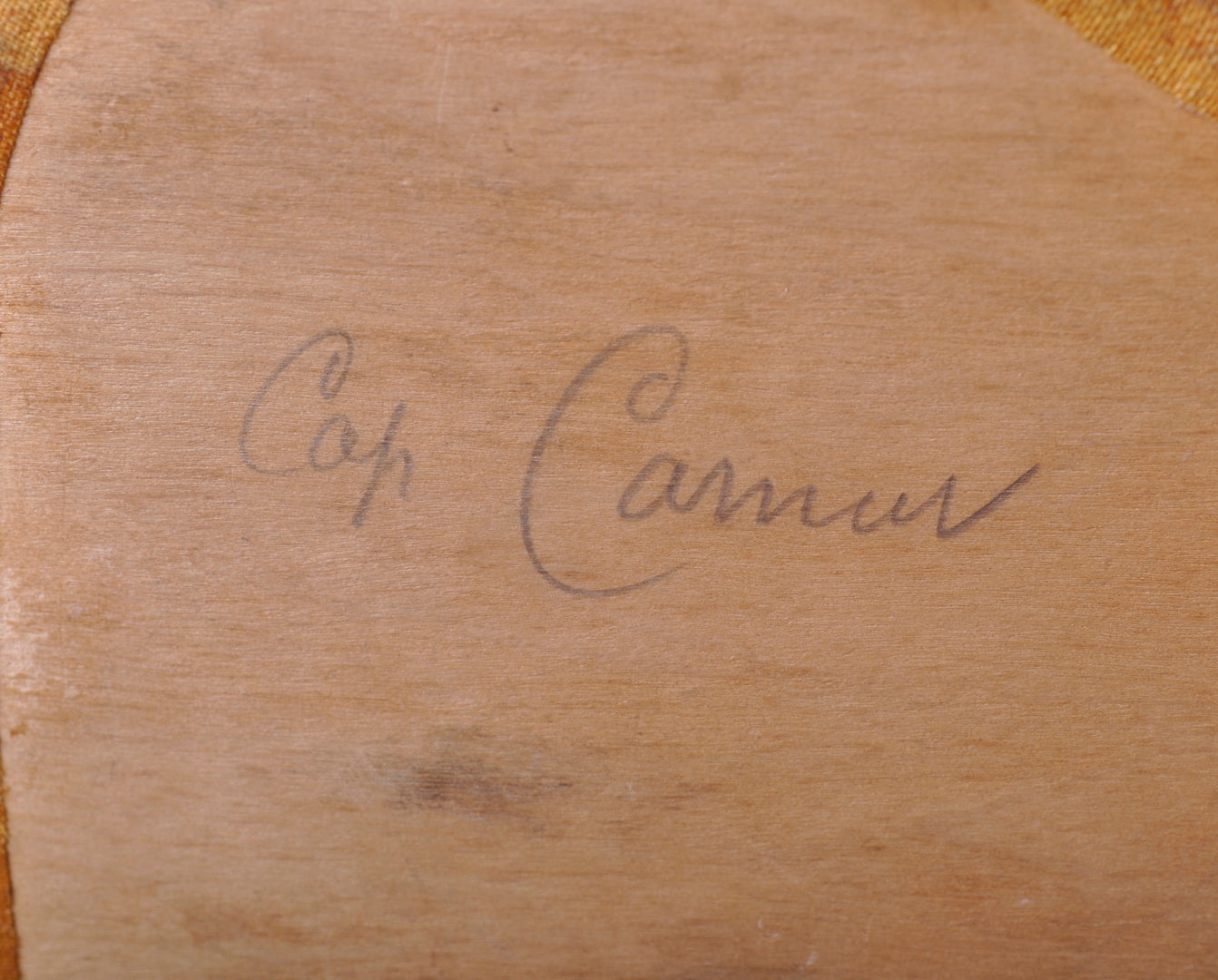 Souvenirs du Capitaine Carnot , fils de Sadi Carnot